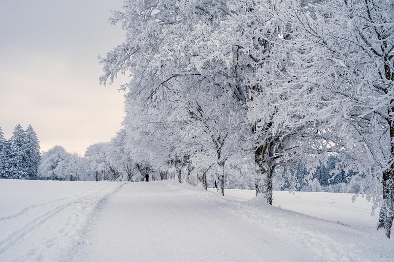 Snowy Terrain